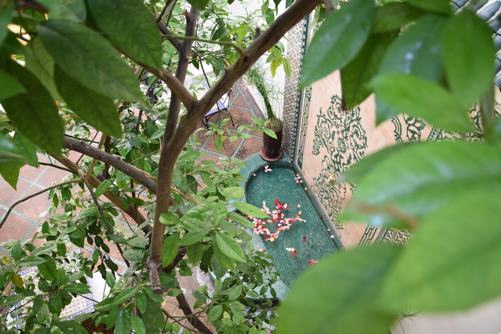 Riad Granvilier Марракеш Екстер'єр фото